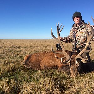 Red Stag Hunting Argentina