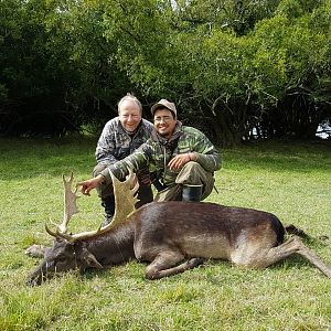 Hunt Fallow Deer in Argentina