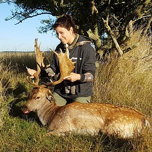 Argentina Hunt Fallow Deer