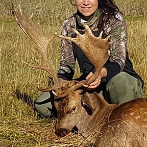 Hunting Fallow Deer in Argentina