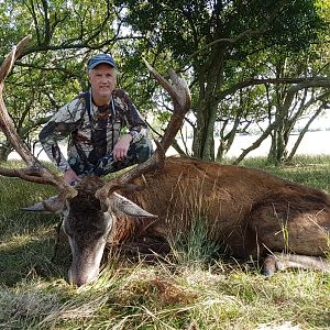 Argentina Hunting Red Stag