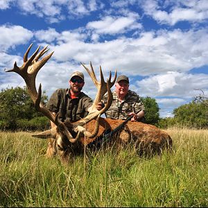 Hunt Red Stag in Argentina