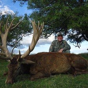 Red Stag Hunting Argentina