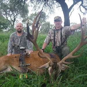 Argentina Hunting Red Stag