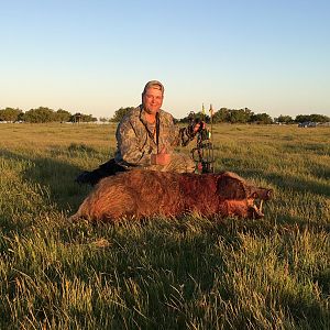 Argentina Bow Hunting Wild Boar