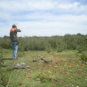 Bird Hunting Argentina