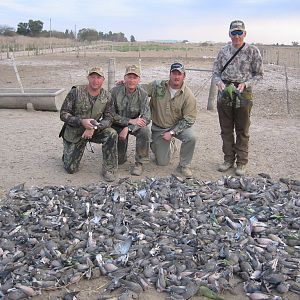 Hunt Dove in Argentina