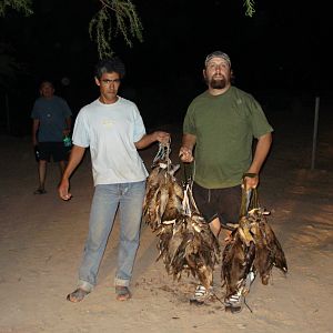 Argentina Hunt Duck