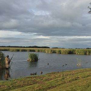 Duck Hunting Argentina