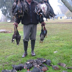 Hunt Duck in Argentina