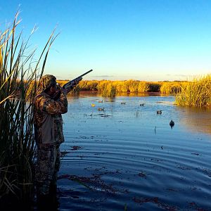 Duck Hunting Argentina