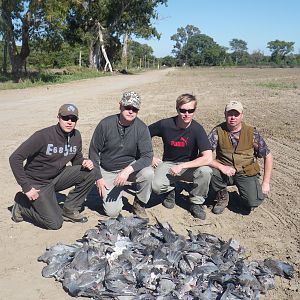 Pigeon Hunt Argentina