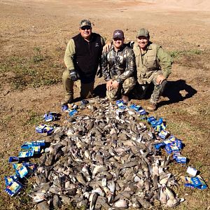 Hunt Dove in Argentina