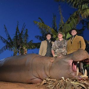 South Africa Hunting Hippo