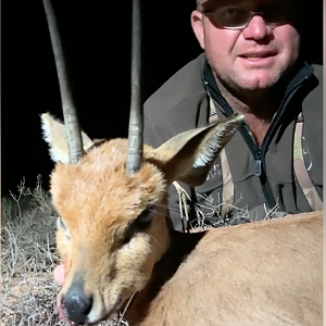 Steenbok 6.5+ inches