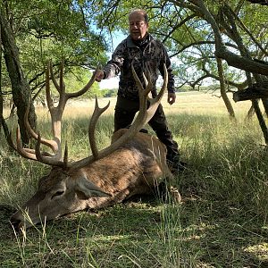 Hunting Red Stag in Argentina