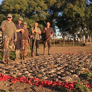 Argentina Wingshooting