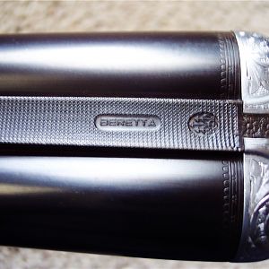 Beretta Silver Hawk 10 Gauge Side by Side Shotgun