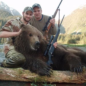 Brown Bear Hunting Alaska USA