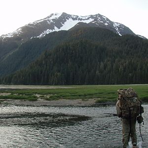 Hunting Bear in Alaska