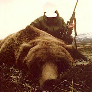 Brown Bear Hunt Alaska Peninsula USA