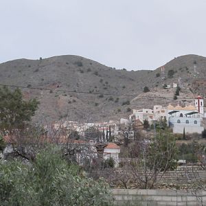 Ibex Hunt Spain