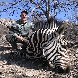 Hartmann's Mountain Zebra Hunting Namibia