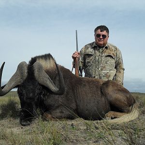 Black Wildebeest Hunting South Africa