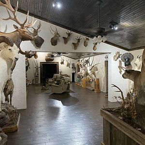 Trophy Room