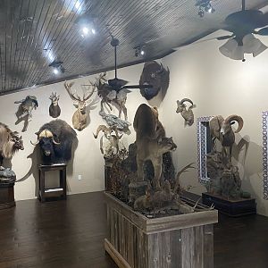 Trophy Room