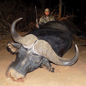 South Africa Hunting Buffalo