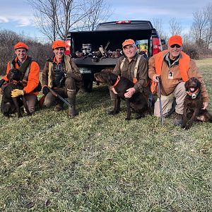 Hunting Dogs