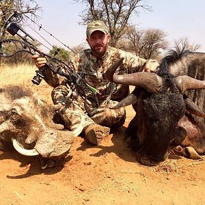 Warthog and Widebeest double