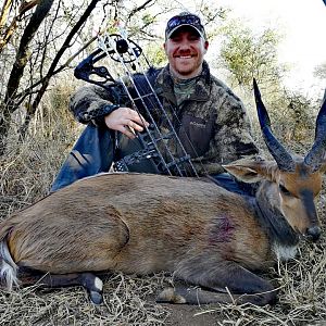 Bushbuck