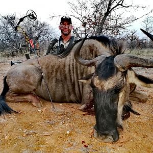 Blue Wildebeest