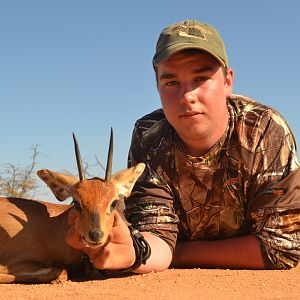 Steenbok