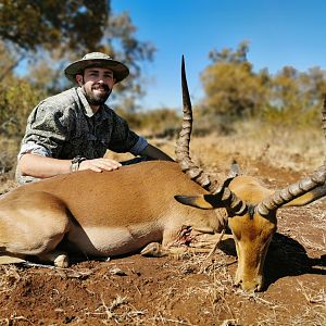 Impala