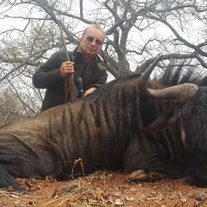 Blue Wildebeest Hunt South Africa