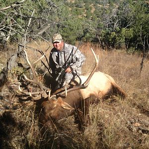 USA Hunt Elk