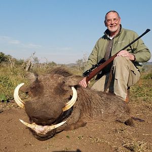 South Africa Hunt Warthog