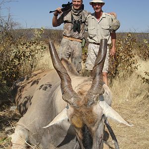 Eland, Namibia 2012