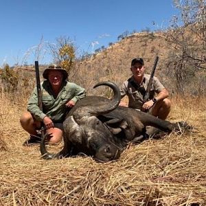 Zimbabwe Hunting Cape Buffalo