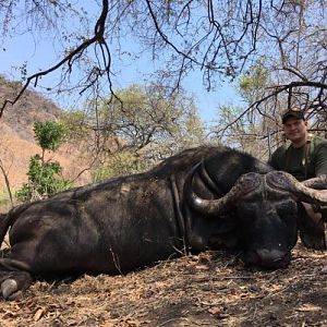 Zimbabwe Hunt Cape Buffalo