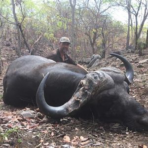 Hunt Cape Buffalo in Zimbabwe