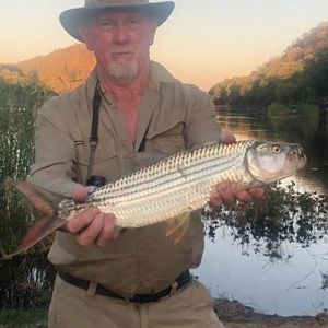 Zimbabwe Fishing Tigerfish