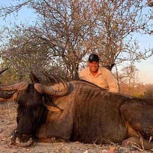 Zimbabwe Hunting Blue Wildebeest