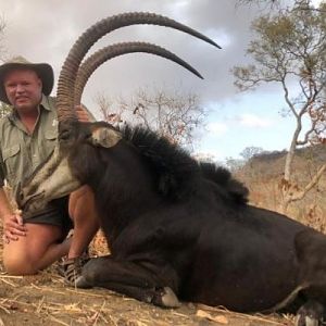 Zimbabwe Hunt Sable Antelope