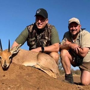 Hunting Steenbok in Zimbabwe