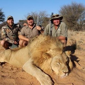 Hunting Lion in South Africa