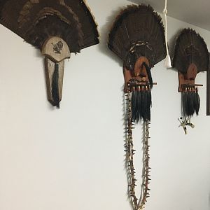 Turkey Fan Board Taxidermy